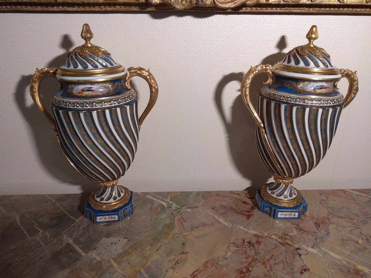 Pair Of Sèvres Vases End XIX Or Beginning XX Bronze Frame Louis XVI Style-photo-2